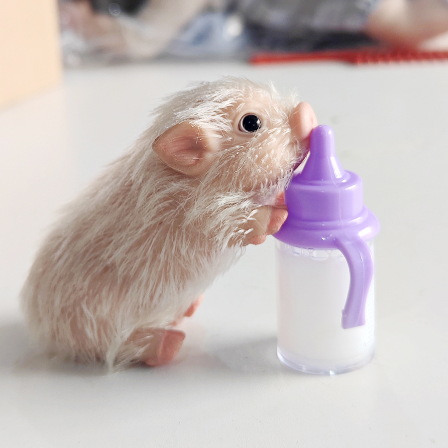 Cute Newborn Pet Reborn Piggy  - Baby Nursery Dolls ulasan dan harga